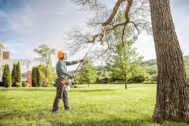 Best Residential Tree Removal  in USA